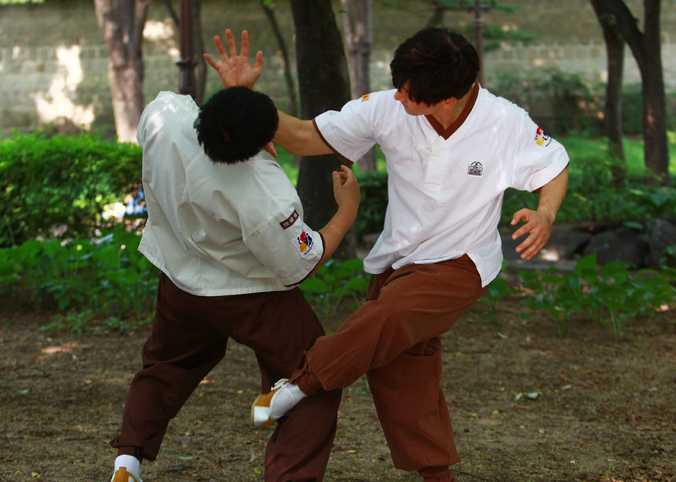 taekyon the korean martial art pdf